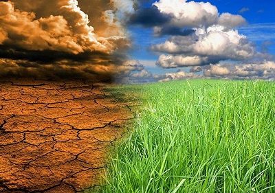 سازمان منابع طبیعی، امانتدار نسل‌های آینده است