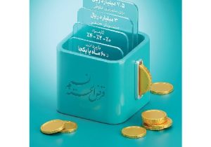 «طرح نسیم» ابزار نوین بانک توسعه تعاون برای تأمین مالی خانوارها و کسب و کارهای خرد