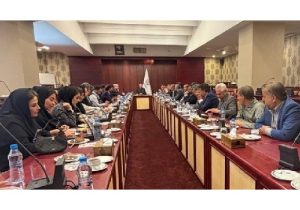 تحول در بیمه ایران با تکیه بر شبکه نمایندگی