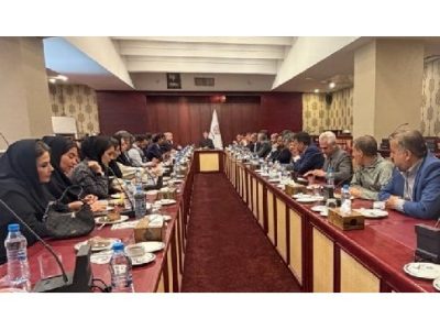 تحول در بیمه ایران با تکیه بر شبکه نمایندگی