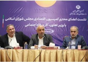 تأکید وزیر کار بر توسعه حمایت‌های بیمه‌ای و معیشتی خانوارها