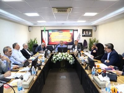 موافقت اعضای کمیسیون حمایت از تولید مجلس با فعالیت سازمان‌های توسعه‌ای طبق اساسنامه