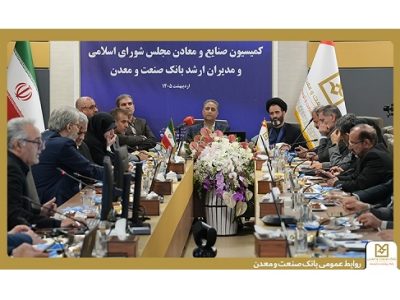 تأکید نمایندگان مجلس بر حمایت از بانک صنعت و معدن برای پشتیبانی از تولید
