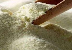 صادرات شیر خشک صنعتی به صورت مشروط مجاز شد