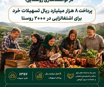پرداخت ۸ هزار میلیارد ریال تسهیلات خرد برای اشتغالزایی در ۲۰۰۰ روستا