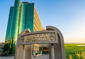 بیش از ۱۱۲ هزار گندمکار مشمول «طرح اعتباری گندم» شدند