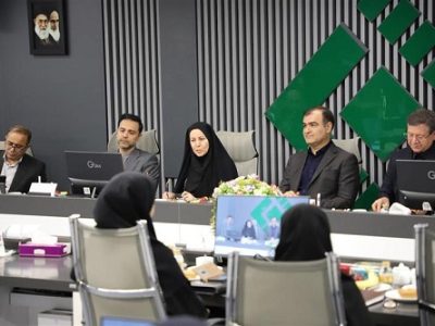 بیمه مرکزی با اختلال در بازار بیمه برخورد می کند