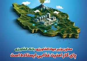 بانک کشاورزی پای کار امنیت غذایی ایستاده است