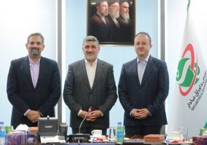 علی نیازی معاون نظارت بر نهادهای مالی سازمان بورس شد