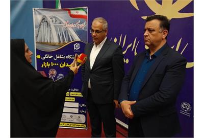 اختصاص ۱۲ همت منابع برای حمایت از مشاغل خانگی کشور در سال ۱۴۰۵