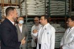 تأکید مدیر عامل بانک توسعه تعاون بر تأمین مالی زنجیرههای ارزش و توسعه اقتصادی