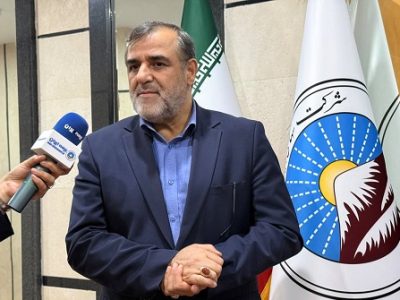 بیمه ایران، بازوی توانمند دولت در مدیریت کلان ریسکهای اقتصادی است