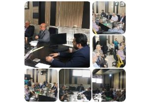 نشست هم‌اندیشی مدیر بیمه دی استان مازندران با صندوق بازنشستگان فولاد
