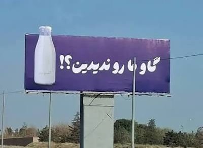 کمپین «گاو ما رو ندیدین؟» از تهران آغاز شد