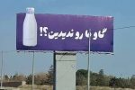 «گاو ما رو ندیدین؟»؛ پگاه و ایجاد کنجکاوی برای ارتباط با مخاطب