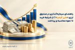 راهنمای سرمایه‌گذاری در صندوق ارزی «ملی کیمیا»