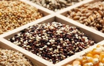 حمایت ۶۰ هزار میلیارد ریالی بانک کشاورزی از تولید بذور مقاوم و پربازده در سال جاری