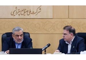 بیش از ۹۱ میلیارد دلار در صنعت پتروشیمی سرمایهگذاری شده است
